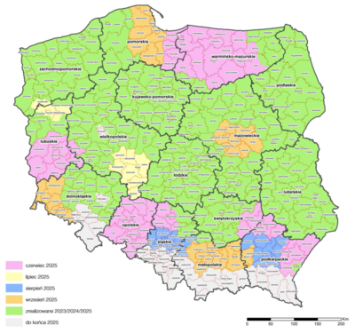 Plan wyłączenia sieci 3G do końca 2025 roku